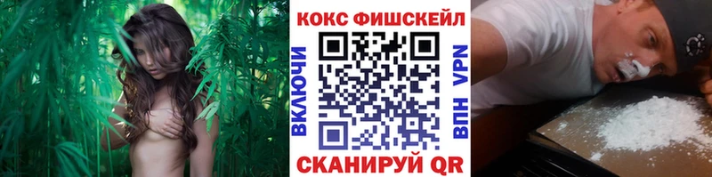 КОКАИН Fish Scale Острогожск