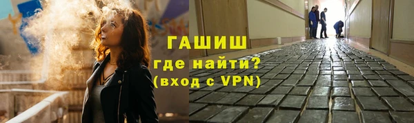 стаф Бородино