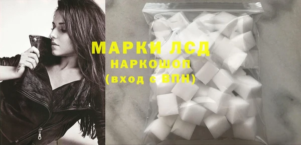 стаф Бородино