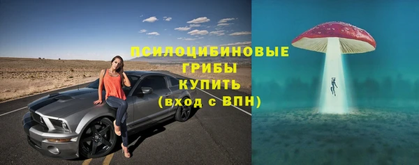 гашик Бронницы