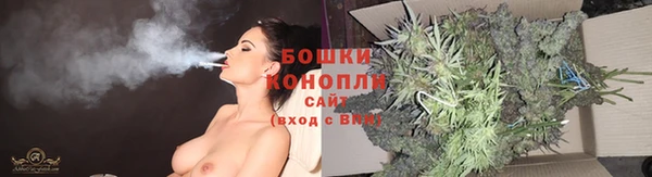 гашик Бронницы