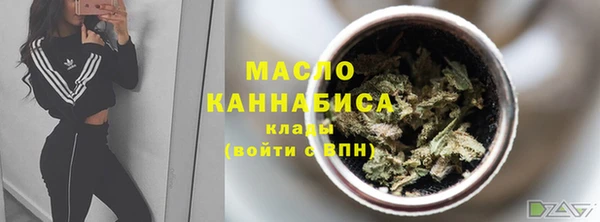 стаф Бородино