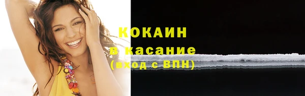 стаф Бородино