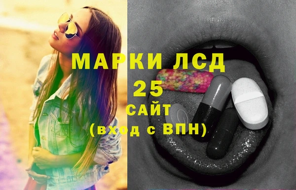 стаф Бородино