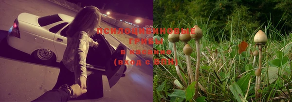 спиды Бугульма