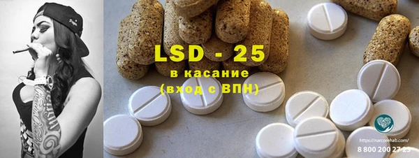 стаф Бородино