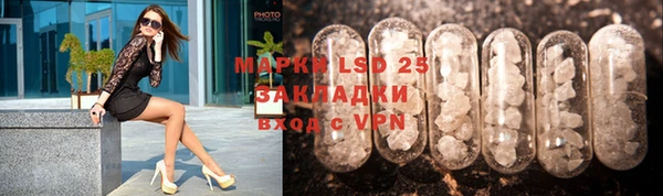 стаф Бородино