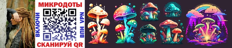 Псилоцибиновые грибы Psilocybe  как найти закладки  Острогожск 